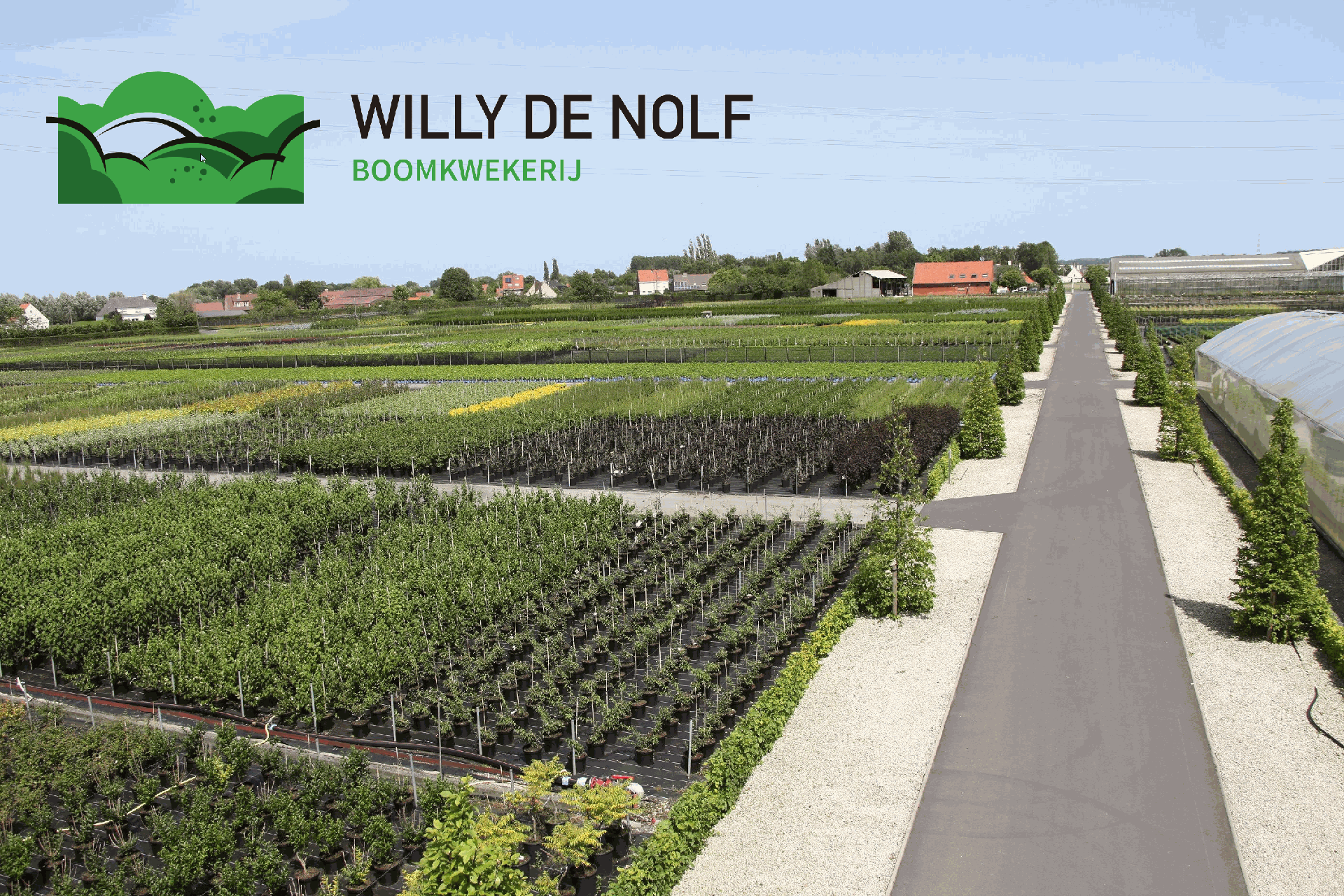 Odoo - Voorbeeld 1 voor drie kolommen²